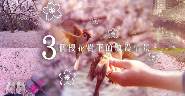 【追櫻攻略（上）】3個不能錯過超浪漫櫻花情景，第一位可遇不可求！