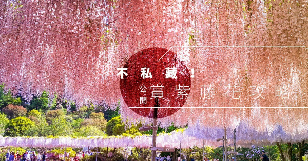 【東京近郊夢幻賞花遊】 賞紫藤花3大攻略，無私分享隱藏優惠 