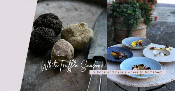 White Truffle：白松露當造在即，秋冬把這顆意大利「鑽石」吃下肚