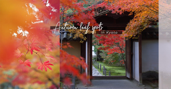 秋．旅在京都：嵐山以外，漫遊5間寺院賞楓欣賞紅葉美