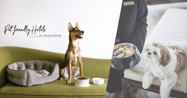 Pet-friendly：與毛孩留港度假！4間寵物友善酒店，提供貓狗床鋪、專屬菜單