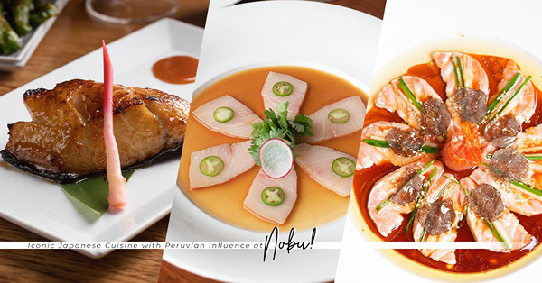 國際星級日本料理名店Nobu回歸！重拾名物鱈魚西京燒美味！名廚私心推薦南美辣椒油甘魚、特式煎炙刺身