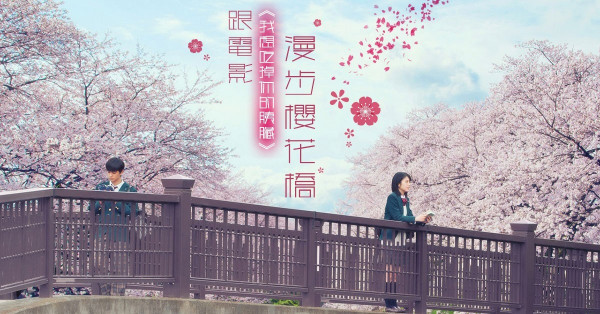 【日本京都】感受純愛浪漫！跟電影《我想吃掉你的胰臟》漫步櫻花樹下