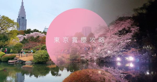 【日本櫻花攻略】沉醉於日與夜的夢幻花海，推介你到東京2個地方賞櫻