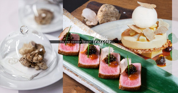 馥郁十月：和洋風白松露美饌，締造秋日味覺盛宴