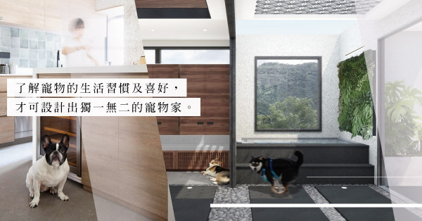 由主子生活習慣及喜好著手！留意5個室內設計及裝修考量，打造舒適度、設計感兼備的寵物家！