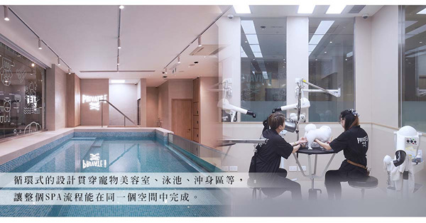 寵物美容店：以溫暖、貼心的設計，實現「人寵共融」的理念