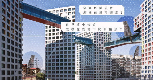 【喵星人建築】貓咪的行為竟和城市建築設計大有關係！