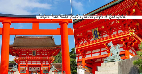 京都伏見稻荷大社：穿過赤紅的千本鳥居，以可愛的狐狸和鳥居繪馬祈願