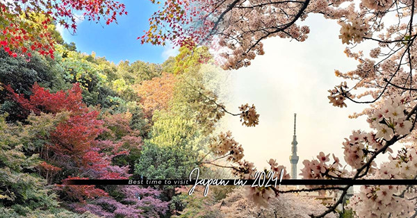 2024日本旅遊好時機：公開請假攻略、日本連休時間！15大日本花期，自製長假去賞花！