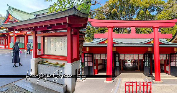 東京日枝神社：市中心隱藏千本鳥居+賞紫藤花私房景點！江戶三大祭典之一山王祭6月不要錯過！