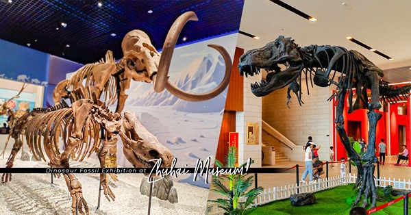 珠海博物館暑假期間限定：恐龍、古生物展覽！與恐龍化石親密接觸，穿越時空一睹史前冰河巨獸樂園