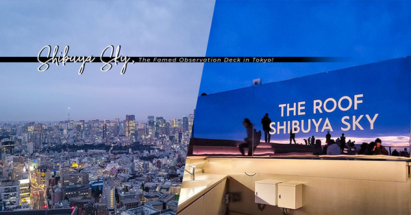 東京澀谷人氣地標SHIBUYA SKY！探索夕陽下的富士山、東京鐵塔和東京晴空塔