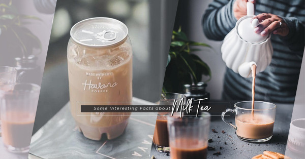 Thai Tea、台灣珍珠奶茶、港式奶茶9個 Fun Facts，你知幾多？