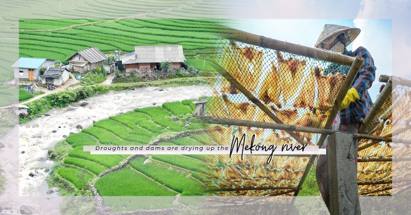 東南亞熱門景點即將消失？湄公河旱災威脅8個快問快答