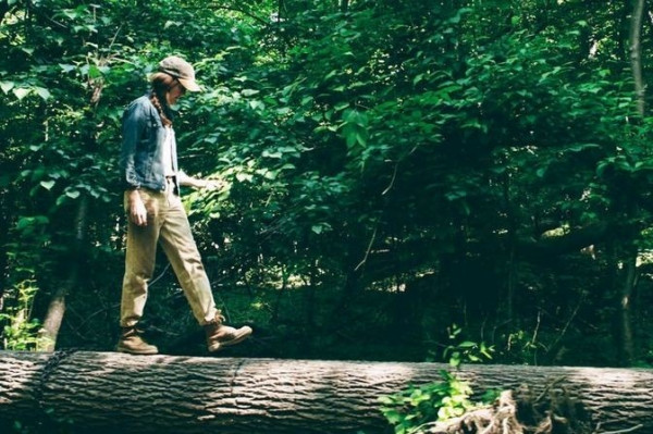 關於樹木的故事