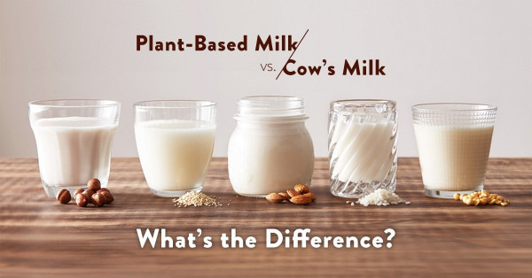 【4個謎思】植物奶是否比牛奶好？