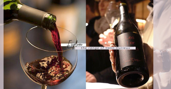 勃艮地一級佳釀的質素，為何降到最低級的Vin De France？