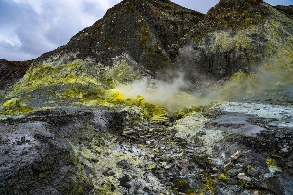 新西蘭懷特島火山爆發 5死逾10傷