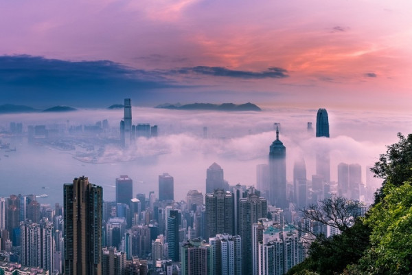 【FOCUS】中美車輪戰電信高粱鋼鋁「互砍」 台「趁火打劫」