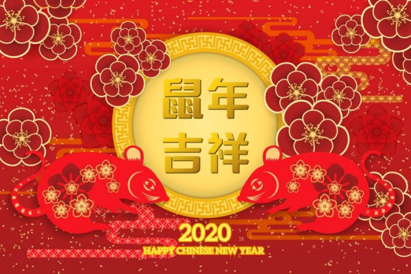 【送豬迎鼠】港股豬年走勢波動全年收跌40點 鼠年正月仍需整固