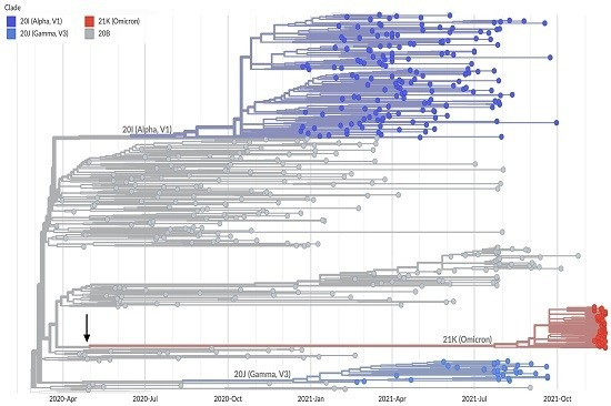 【FOCUS】Omicron突變非末日　對沖大佬押股市看漲