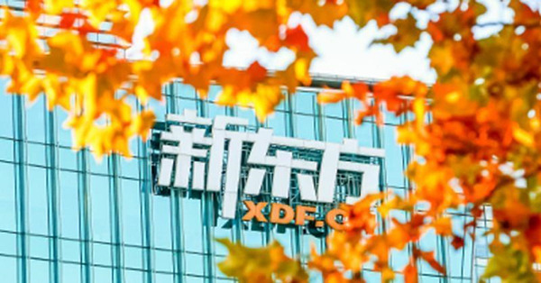 【FOCUS】「直播清流」高位腰斬　螞蟻傳聞耐人尋味