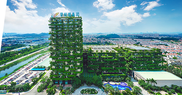 加力應對爛尾樓兼續推鬆綁措施　內房急升富力碧桂園漲一成