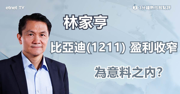 【比迪盈喜】料第三季盈利增幅放緩，為意料之內？