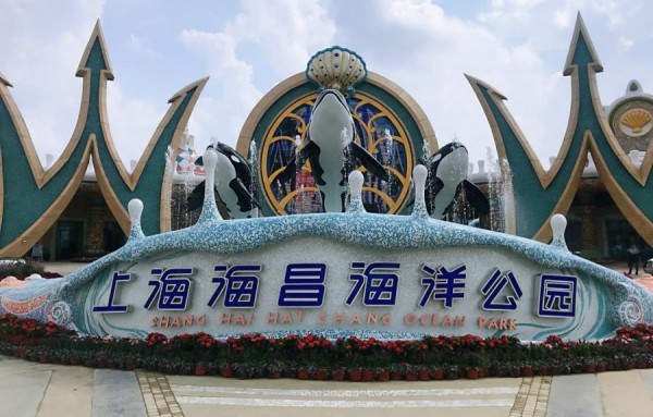 【上海特寫】美人魚、球幕影院 探秘上海海昌海洋公園