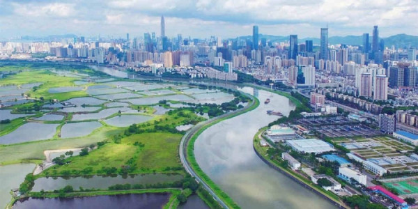【深圳先行】習近平南下賀深圳　綜改方案「核心引擎」劍指香港