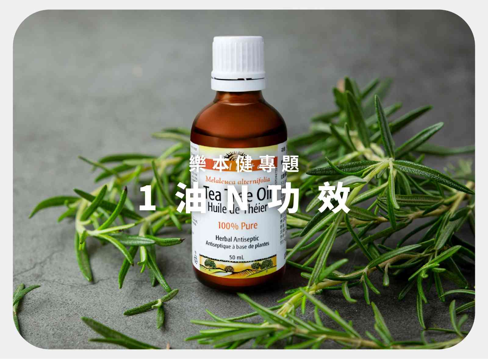 茶樹油