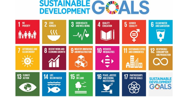 香港的社創教育的新方向：立足香港 面向世界——謝思熹博士、楊紫璇